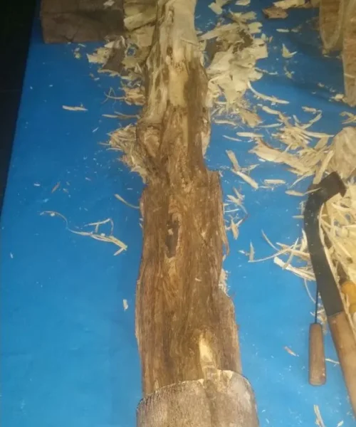 RAL171 after 1.5 - 2 years